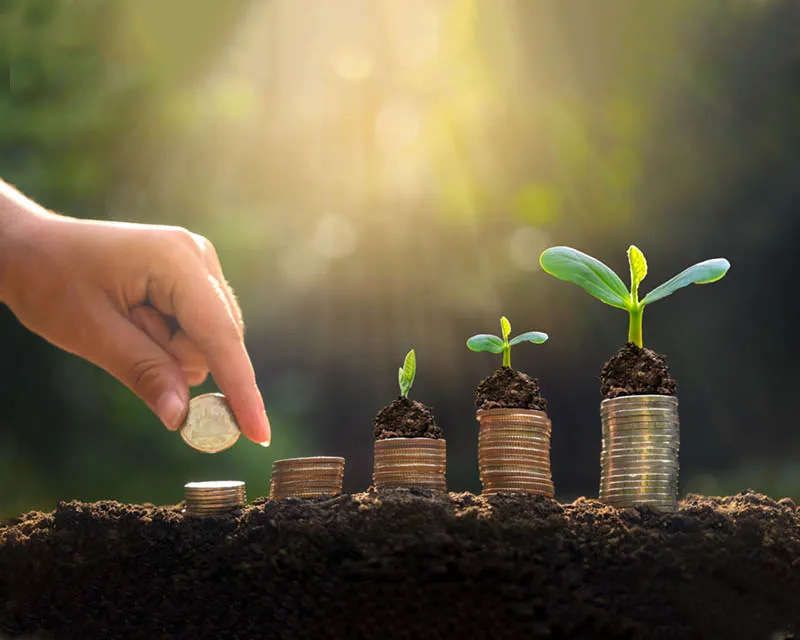 مخيم الاحسان